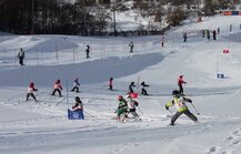 ГСК «Куркино»