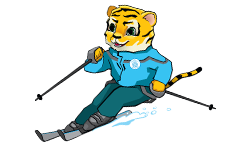 Горные лыжи